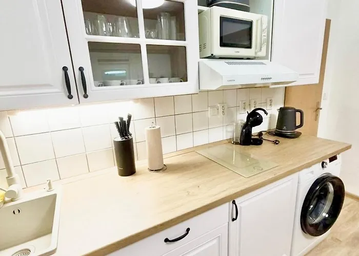 U Medvidka Apartment Karlovy Vary