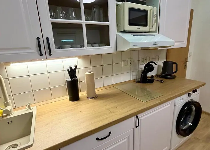 U Medvidka Apartment Karlovy Vary